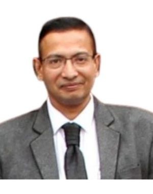Mr. S. Ramanathan